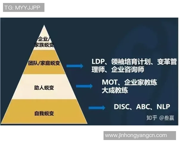 成都排球队的转型之路：从传统强队到现代化精英团队的蜕变与挑战